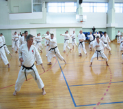Кубок И.Йорга Тольятти 2009